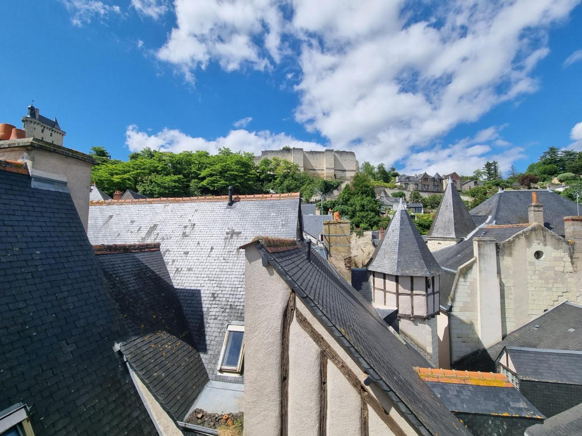 L'echappee Moderne Apartment Chinon